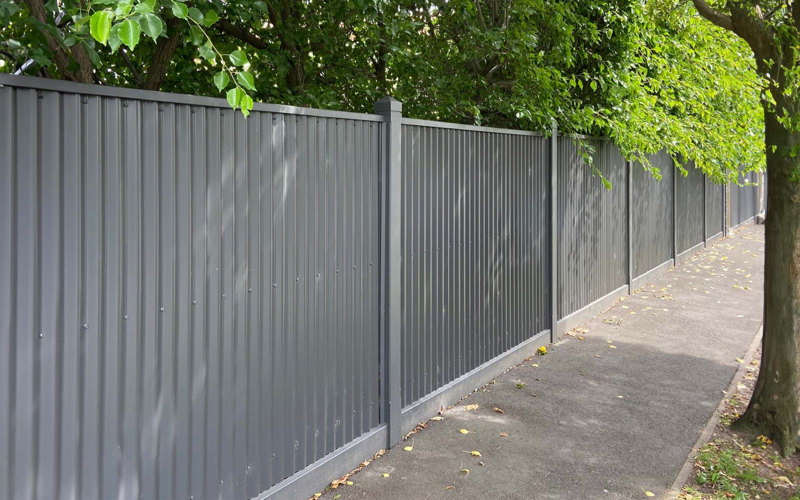 Colourbond Fencing